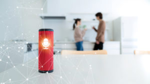 Voice commands