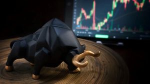How should you invest in a bull market?