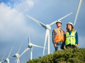 Who is the target market for renewable energy?