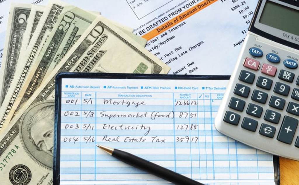 Person reviewing bank statements on a laptop: A person sits at a desk, analyzing bank statements on a laptop to track income and expenses