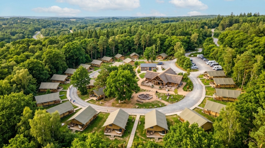 Aerial view of glamping site with safari tents surrounded by woodland